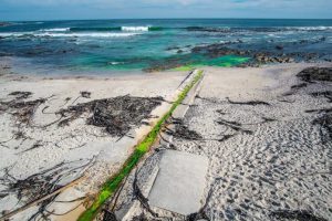 Toxic coolant polluting Sea Point beach