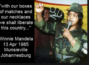 EFF dring daarop aan dat Kaapse Internasionale Lughawe se naam verander moet word na die Winnie Mandela Internasionale Lughawe, ’n vrou wat skuldig bevind is aan ontvoering, diefstal en bedrog