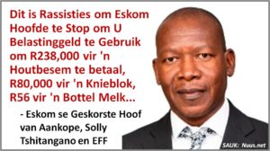 "Maak Valse Aantygings van Rassisme, en Word Afgedank!" - Eskom Voorsitter, Malegapuru Makgoba